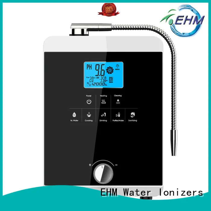 EHM machine ionizer machine customized for dispenser 1