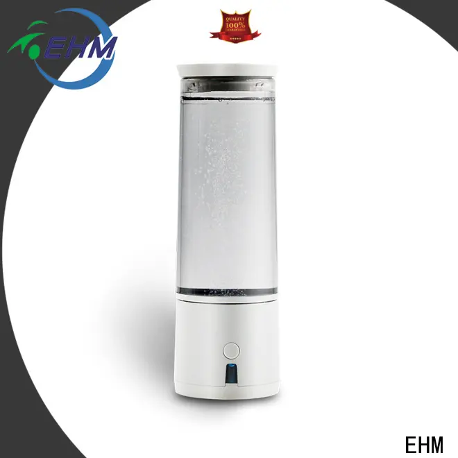 EHM ionizer hydrogen rich water ionizer best manufacturer on sale 1