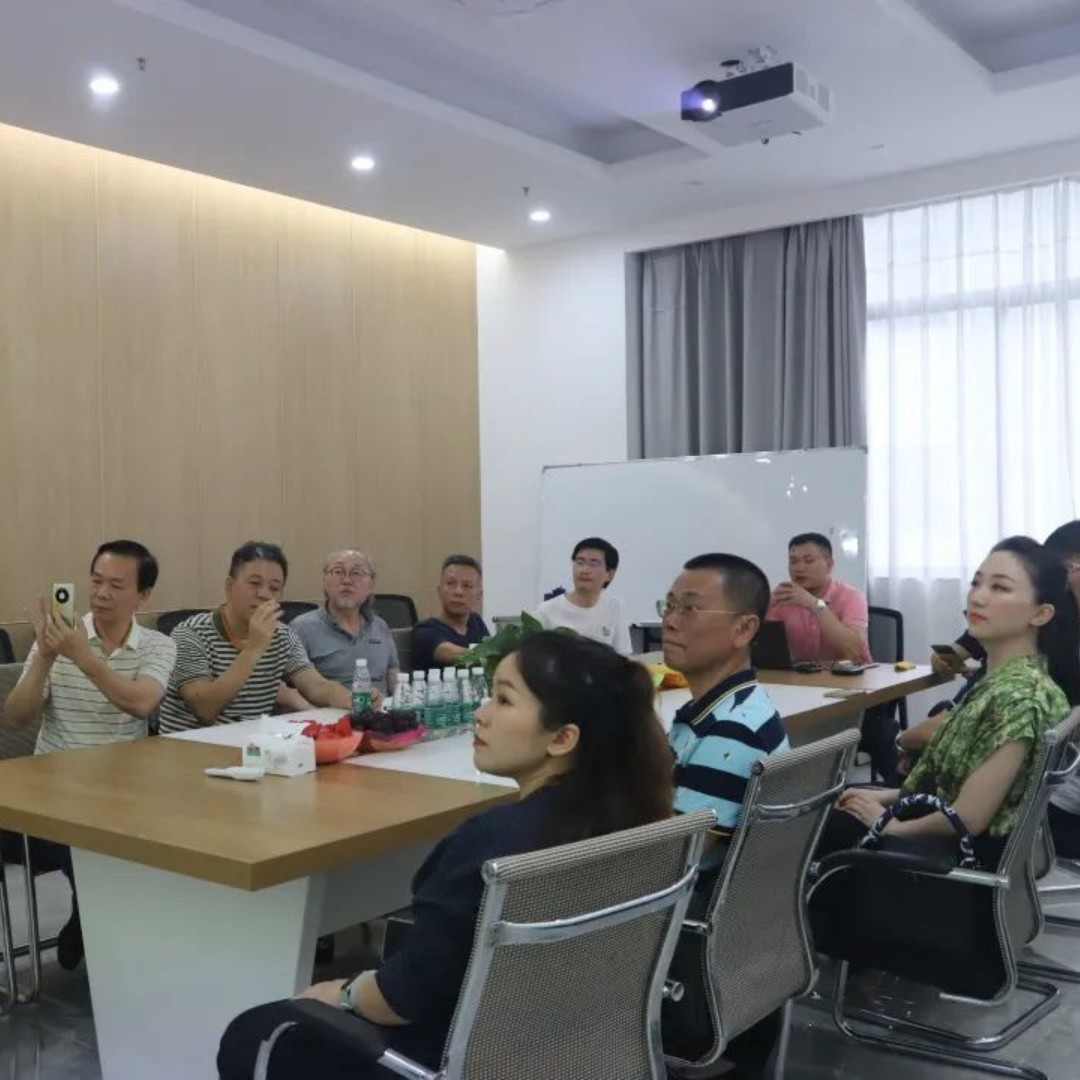 Il Guangdong Provincial Stage Art Research Association ha visitato la riunione di scambio di tecnologie di illuminazione di Yellow River 4