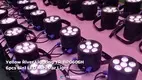 Custom led par for business Manufacturer | Yellow River 1