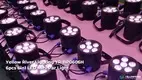 Yellow River | Popular outdoor par light factory 1