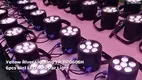 Custom par spotlight manufacturer Manufacturer | Yellow River 1
