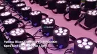 Custom led par company Manufacturer | Yellow River 1