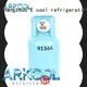 Arkool high-quality refrigerant gas r134a suppliers supply for air conditioner 1