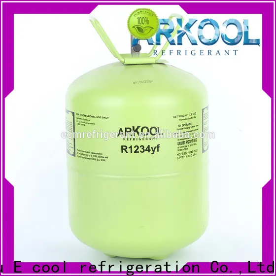 Arkool Latest hfc 22 manufacturers for industry 1