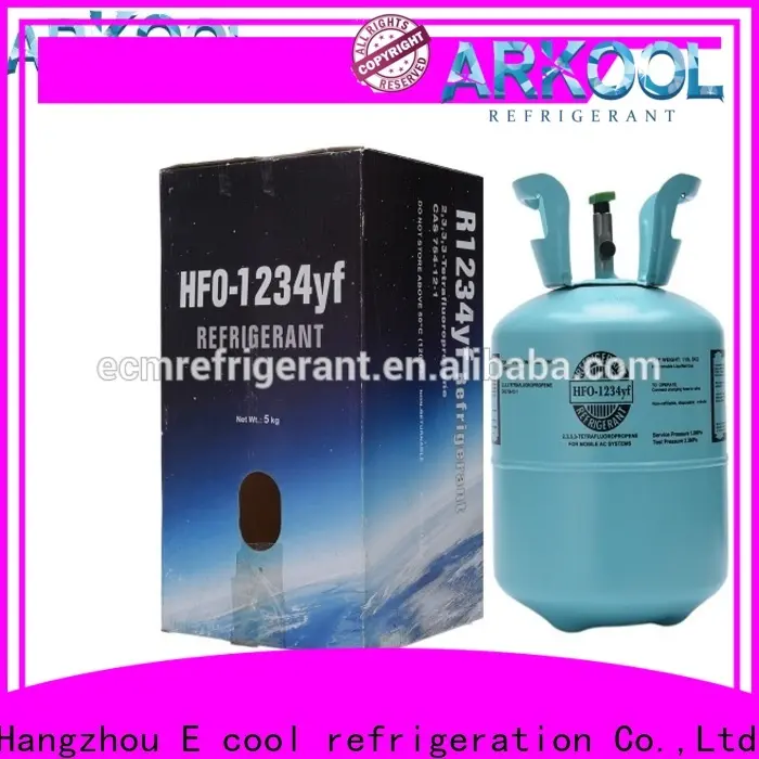 Best hfc 134a compressor factory for industry 1