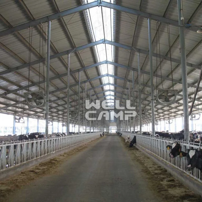 Steel Structure for Poultry Dairy Cow Shed and Chicken Farm Building Prefab Steel Buildings Custom Warehouse-W06 1