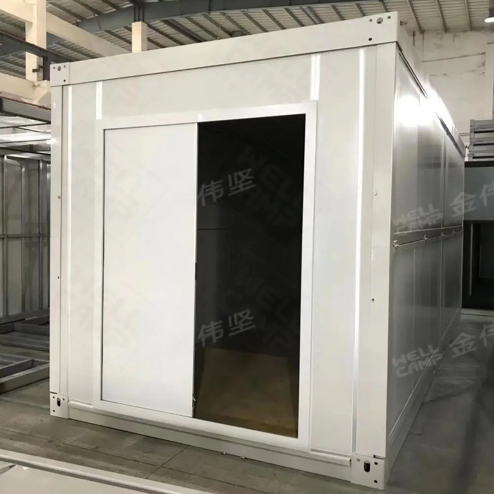 Customized Flat Pack Container Low Cost and Easy Assemble Prefab Container House From China 1