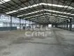 WELLCAMP dairy eps two steel chicken farm single 3