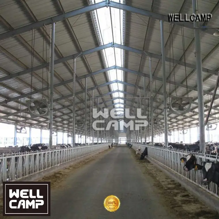 steel steel warehouse WELLCAMP steel chicken farm 1
