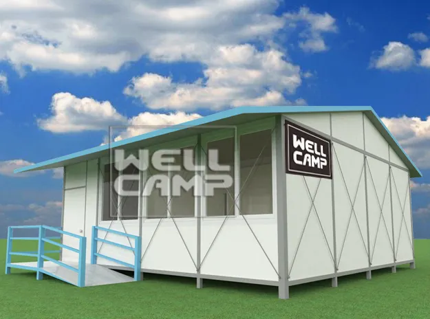 Custom  WELLCAMP 5