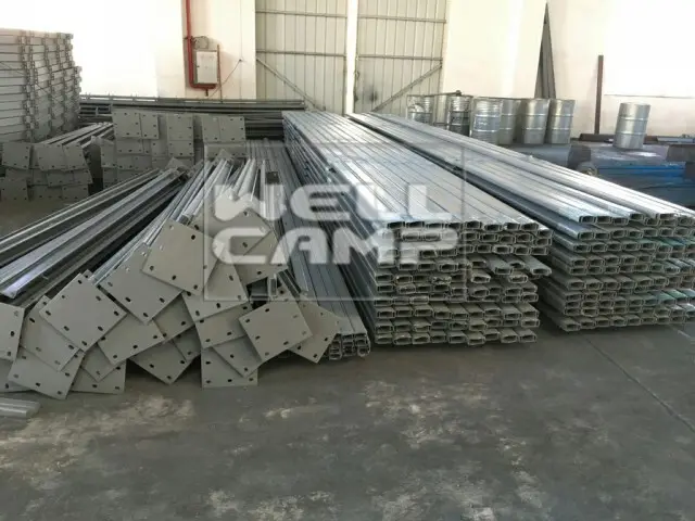 Custom  WELLCAMP 6