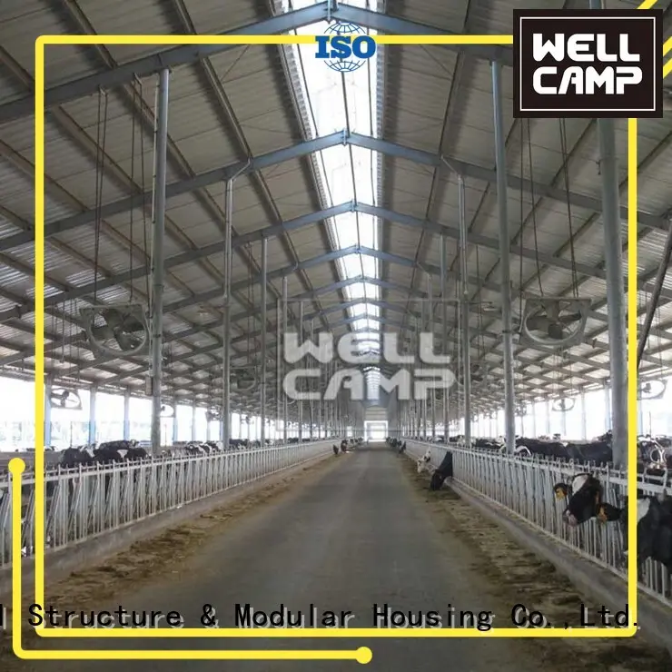 WELLCAMP Brand or largespan steel chicken farm 1