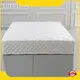 Hot Hotel Luxury Overfilled Mattress Pad ELIYA Brand 1