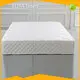 ELIYA Brand Queen Size Mattress Protector 1