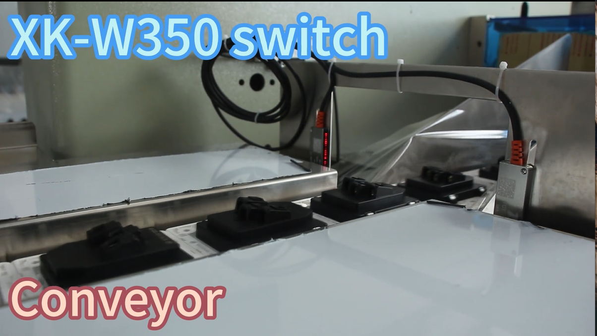 Yüksek kaliteli XK -W350 Switch Toptan Satış - Zhongshan Xingke Automation Equipment Co., Ltd 9