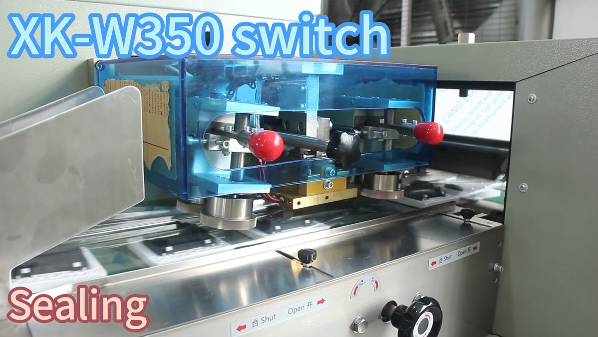 Yüksek kaliteli XK -W350 Switch Toptan Satış - Zhongshan Xingke Automation Equipment Co., Ltd 8