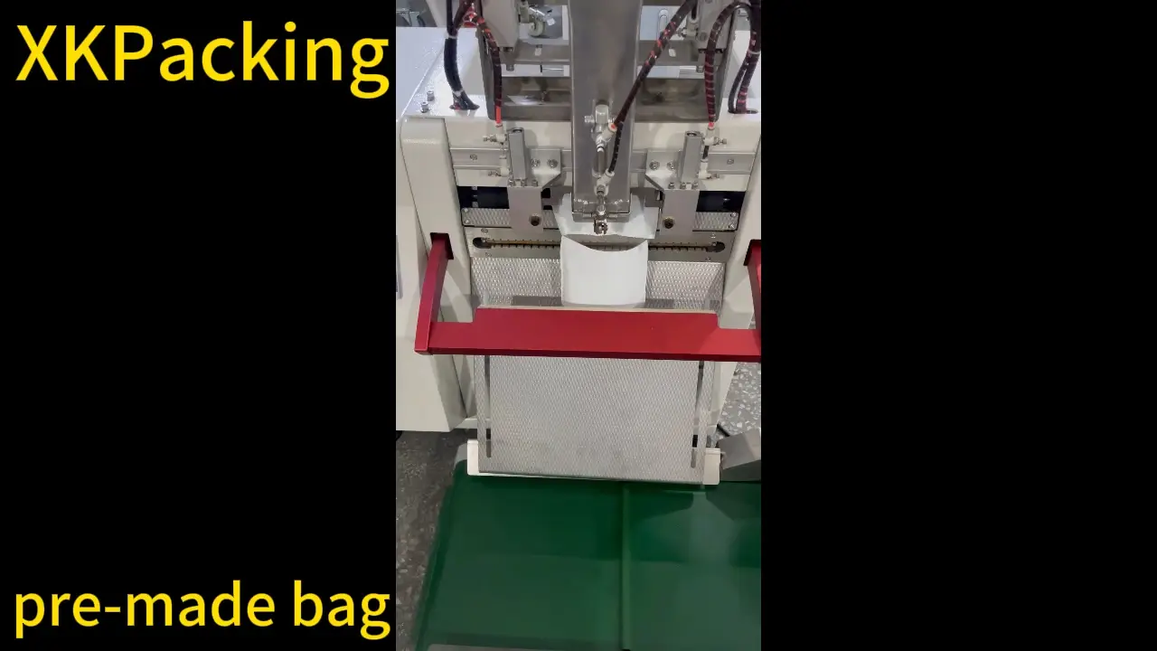 China Premade bag automatic bagging machine manufacturers - Xingke 1