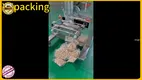 OEM Automated Bagging Machine ขายขาย | Xingke 1