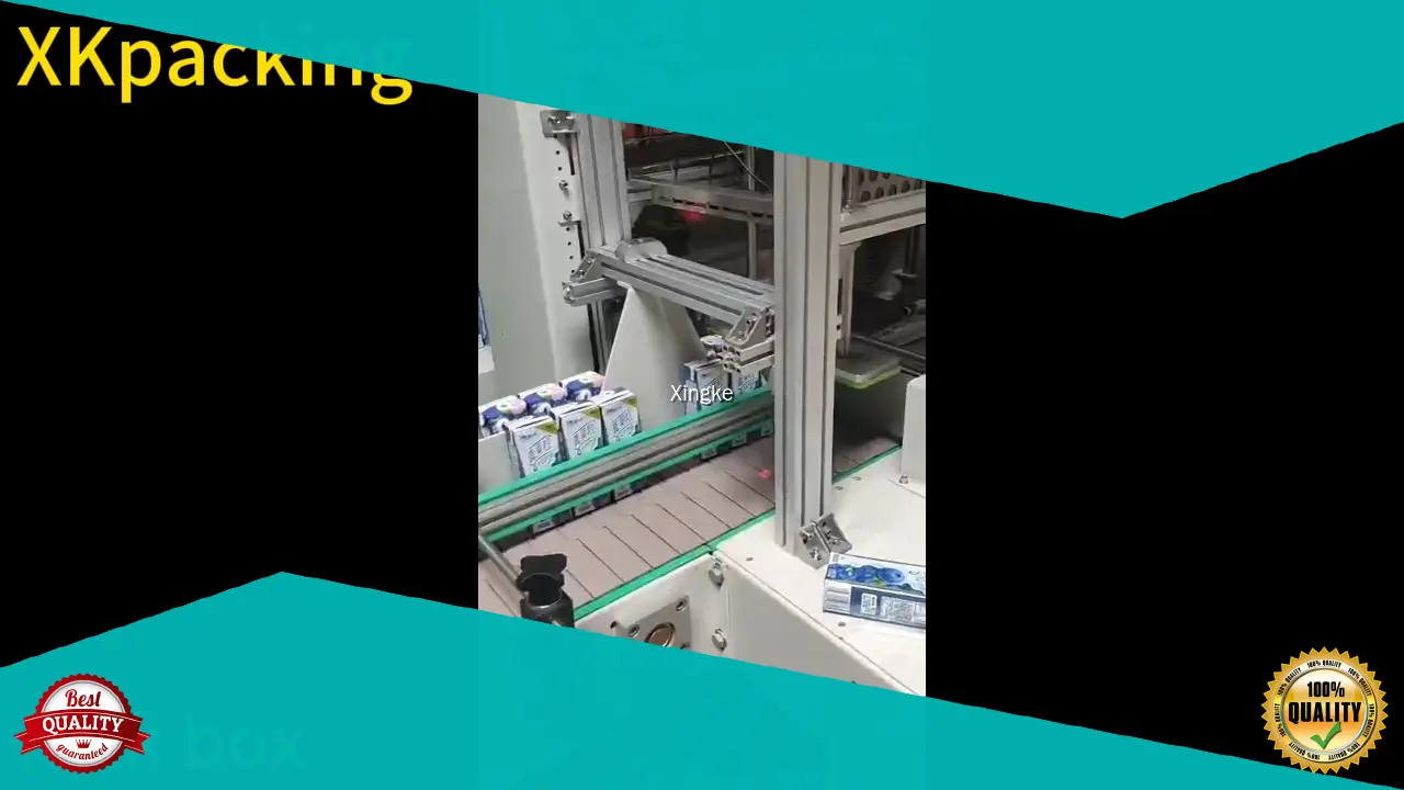 Heat Shrink Packaging Machine for Pocket Packaging - XK-BF650 Milk Box 1
