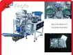 OEM Screws Counting Packing Machine 1