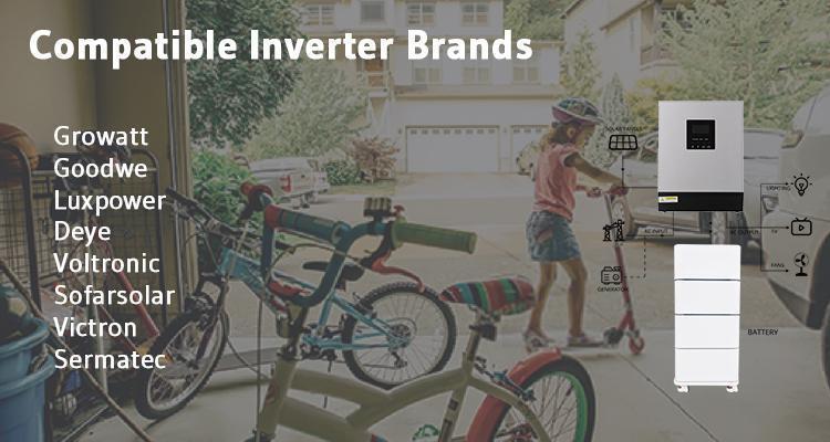 Enerlution 、 Hybess - Proveedor del fabricante 18650 LIFEPO4 Batería Home Energy Almacenamiento 48 V Batería de iones de litio Sistema de almacenamiento de energía comercial 17