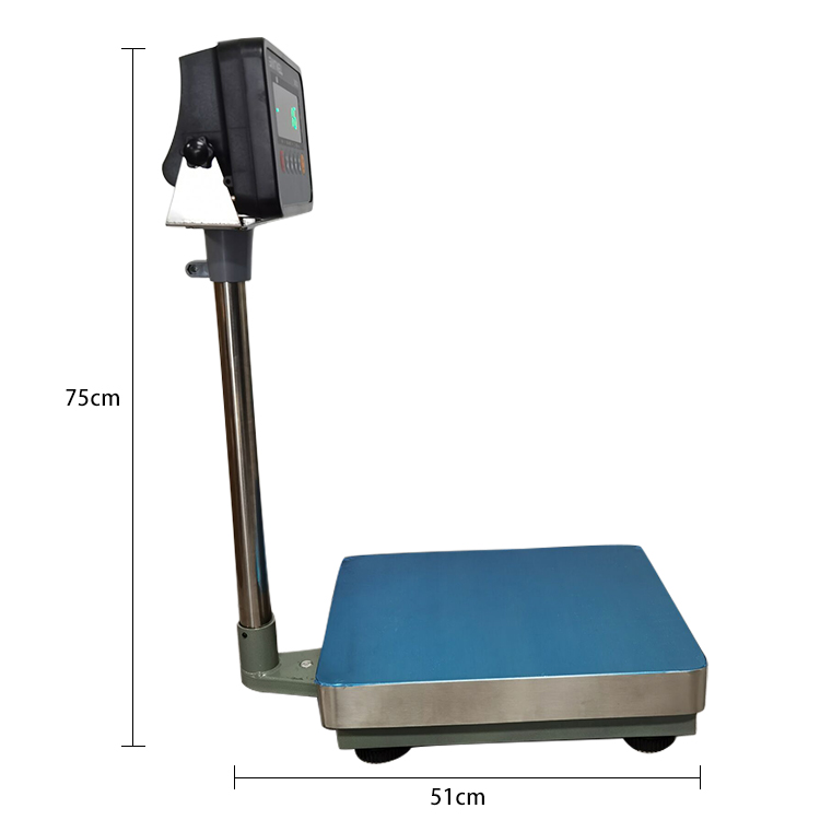 TSB 60-150 kg Rango 110-240V Display de acero de carbono LED Plegable Plegado de pesaje Santwell Santwell 8