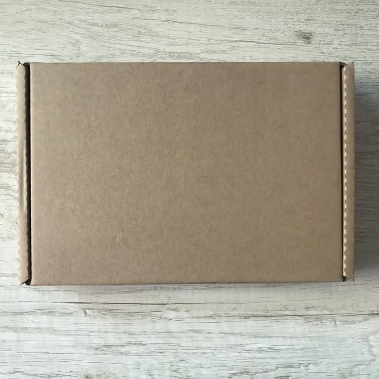 JPG-4S Electronic Plastic Voltage Reglation Junction Box Santwell 16