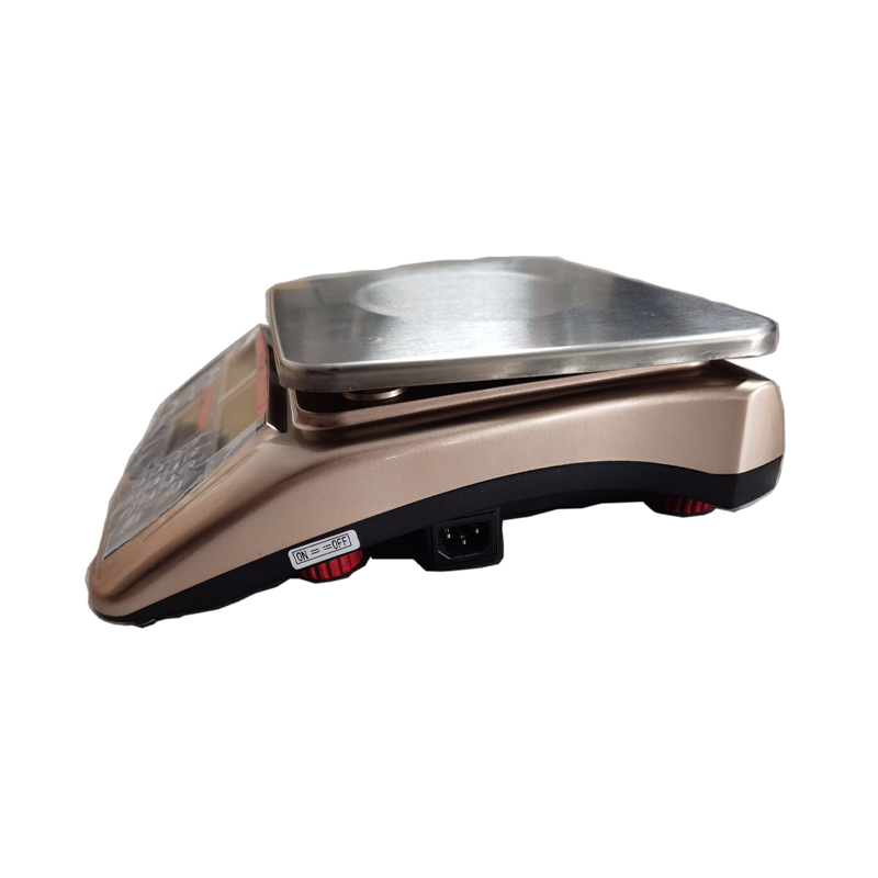 TS2004 Contado de la escala de pesaje Electrónica con pantalla LCD para la escala de computación de precios de necesidad industrial Santwell 11