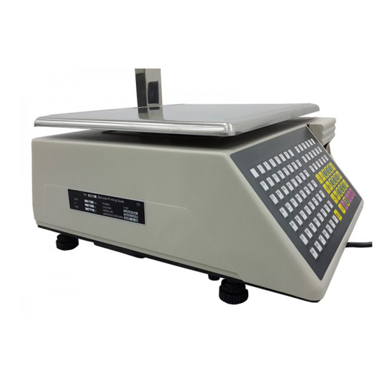 CS-15 Double Ribbon Imprenting Table Scale Pesaje electrónico y precios de supermercado Supermercado Santwell Santwell 14