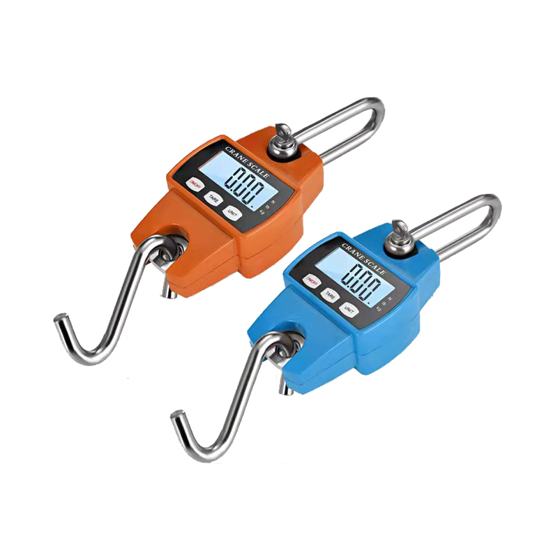 HK-300 ESCALE ELECTRÓNICO 500 kg mirando directamente la escala de grúa Santwell 11