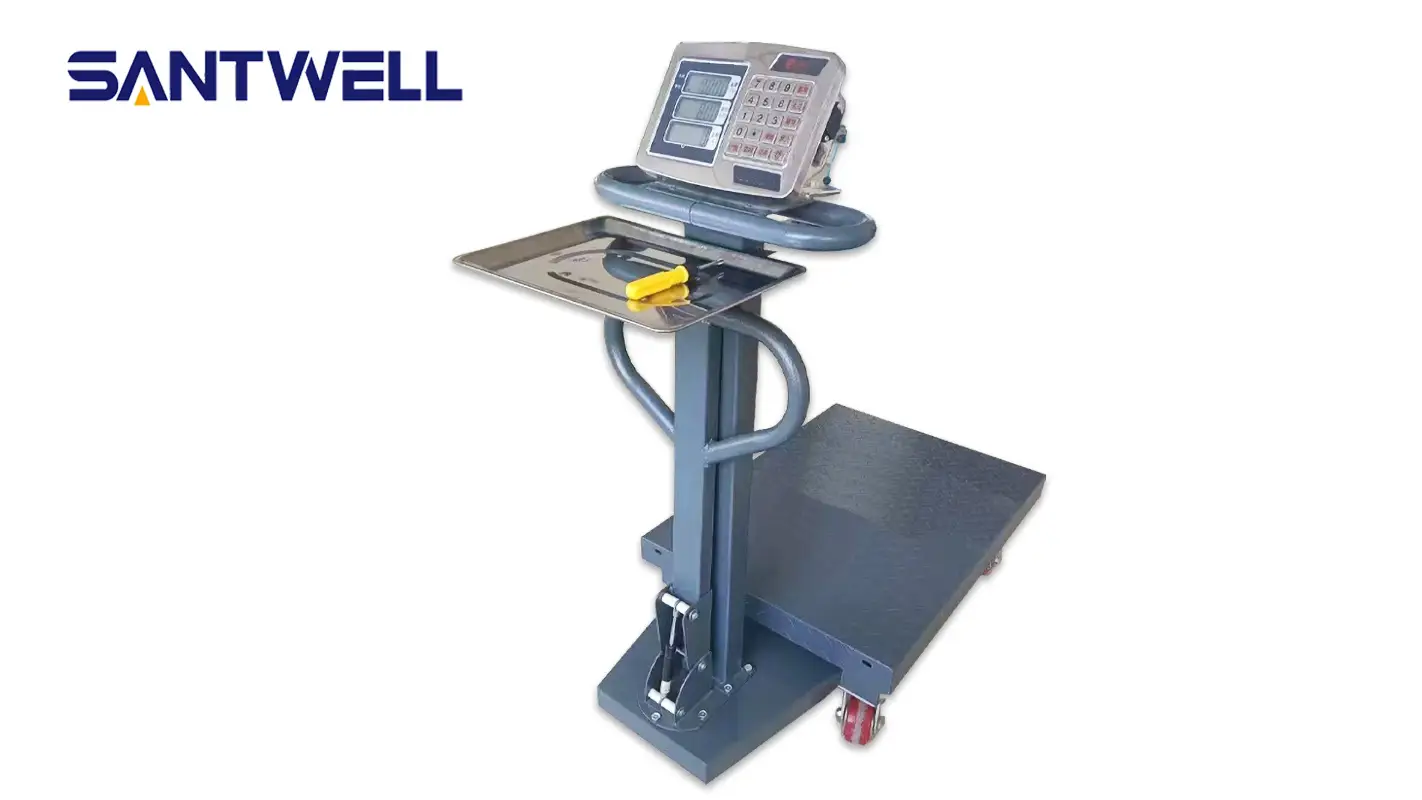 TS-02 110-220V 150 кг Светодиодные ЖК-ЖК-ЖК-ненужные изделия из нержавеющей стали Цифровая электронная водонепроницаемая весовая масштаба платформы 100 кг Santwell 1