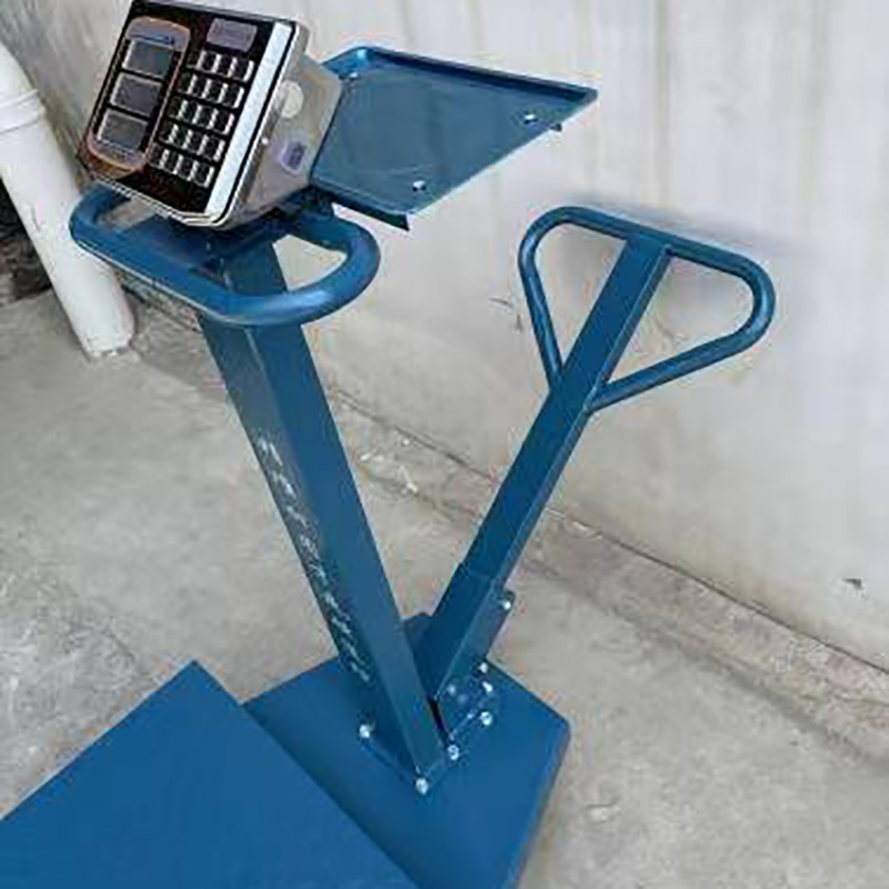 TS-02 110-220V 150 kg LED LCD Acero inoxidable Digital Electronic Water Impermeventa Plataforma de peso de 100 kg Santwell 11