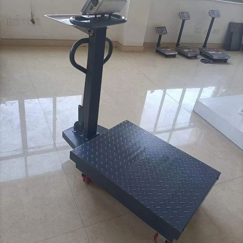 TS-02 110-220V 150 kg LED LCD Acero inoxidable Digital Electronic Water Impermeventa Plataforma de peso de 100 kg Santwell 10