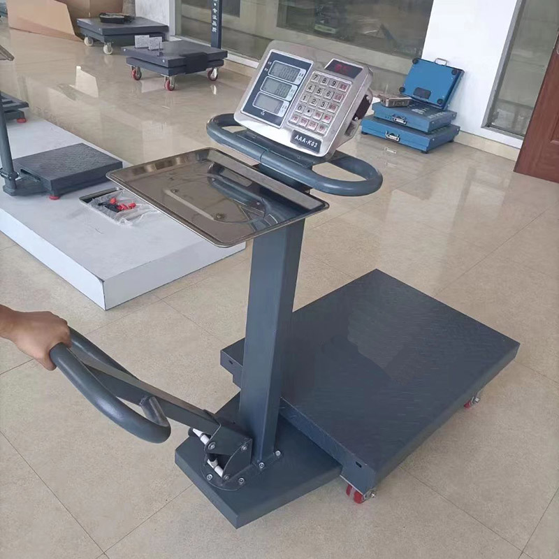 TS-02 110-220V 150 kg LED LCD Acero inoxidable Digital Electronic Water Impermeventa Plataforma de peso de 100 kg Santwell 9