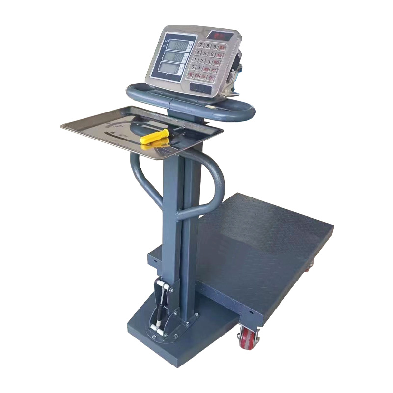 TS-02 110-220V 150 kg LED LCD Acero inoxidable Digital Electronic Water Impermeventa Plataforma de peso de 100 kg Santwell 8