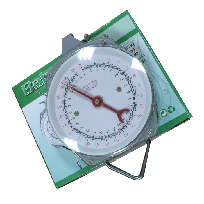 HK-617 Escala colgante de puntero mecánico de 100 kg de 100 kg, escala de gancho de resorte, escala de colgante de disco Santwell 17