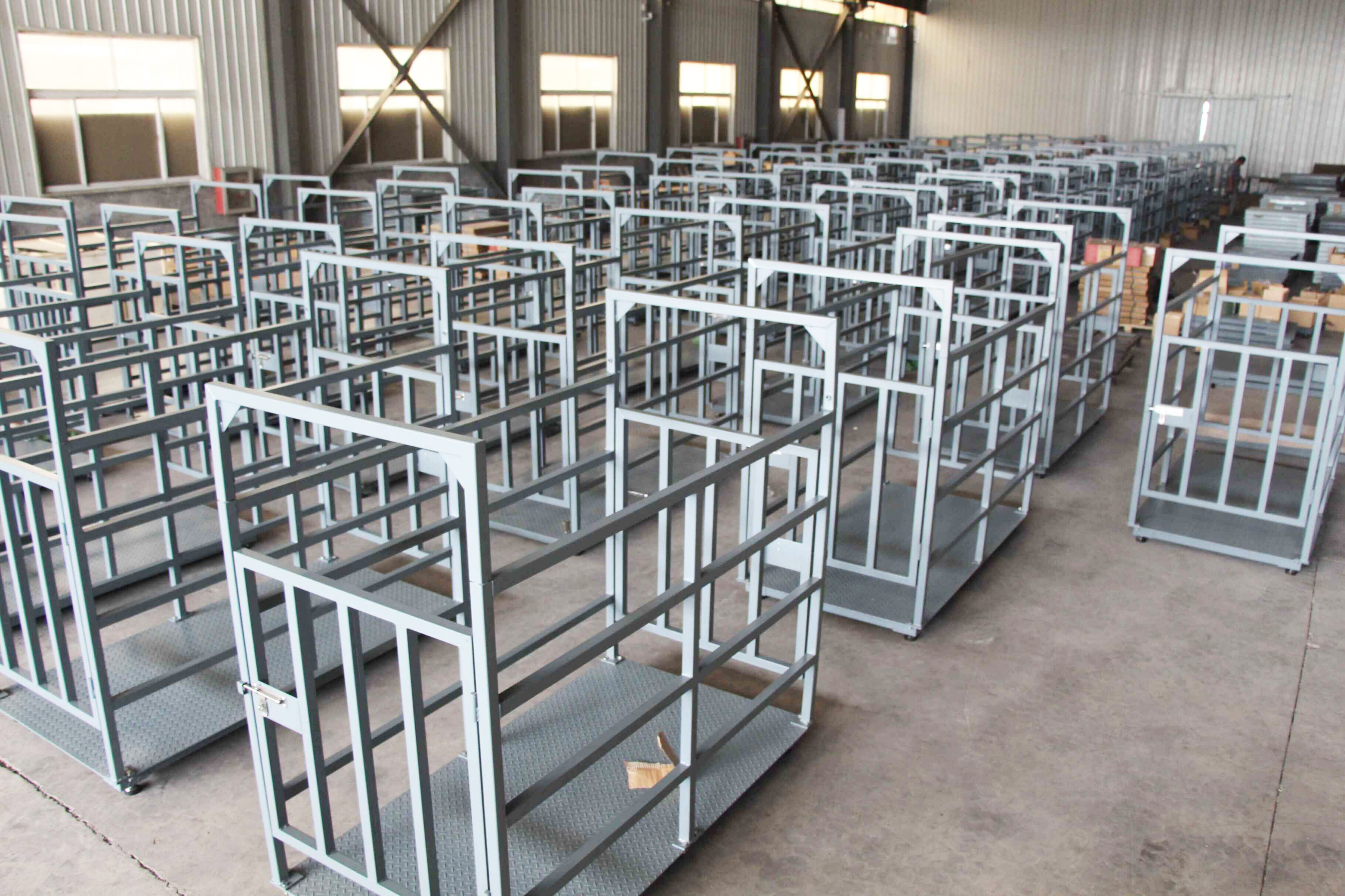 LS-1 ESCALES DE ANIMALES ACERO CARBONO CON VIDEO DE FENCING SANTWELL 12