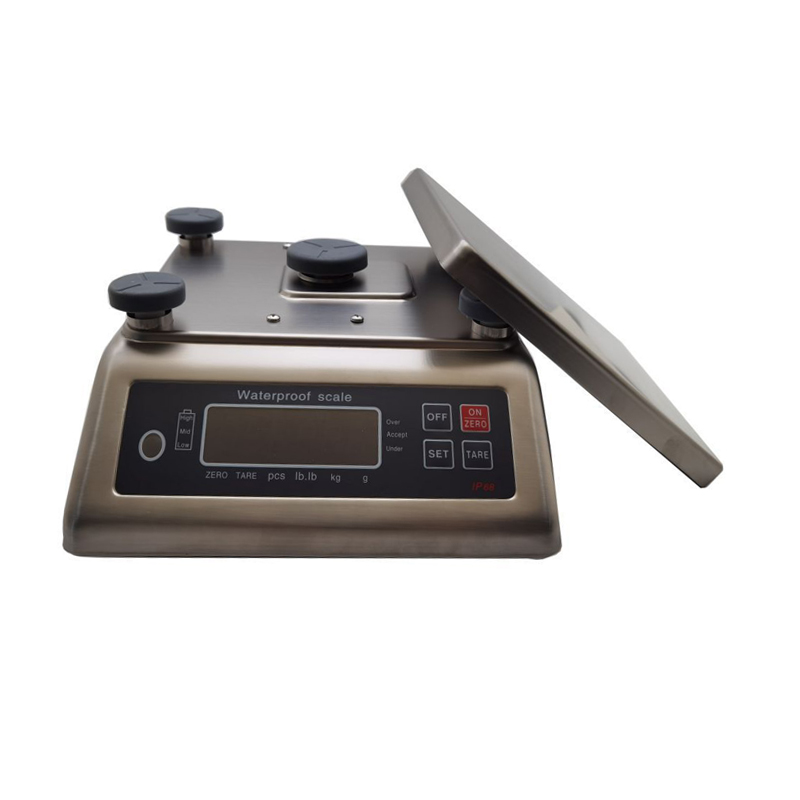 WFA-01 15 kg 30 kg de acero inoxidable Precio impermeable Tabla de pesca Escala de mesa Santwell 12