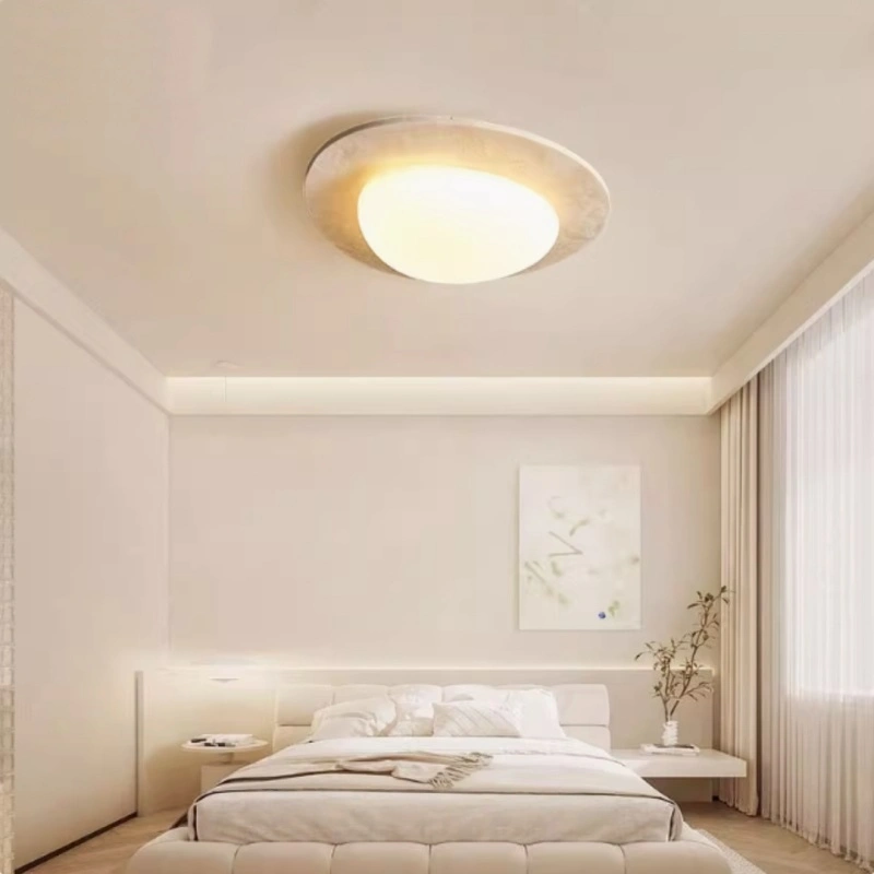 Egg-shaped LED ceiling light 1