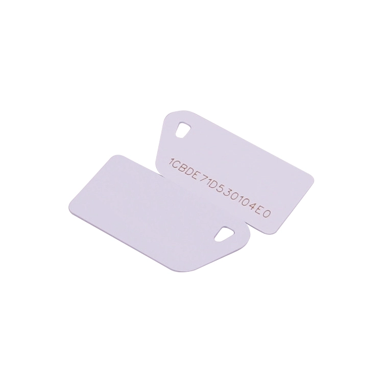 Custom-Printed RFID Gift Cards for Supermarket Promotions 1