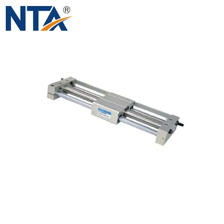 Magnetic Rodless Pneumatic Actuator RMTL 1