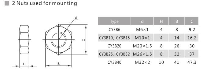 Magnetically Coupled Rodless Cylinder NTA CY3 5