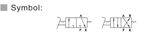 FV Series Foot Valve 2