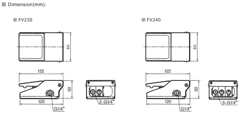 FV Series Foot Valve 5