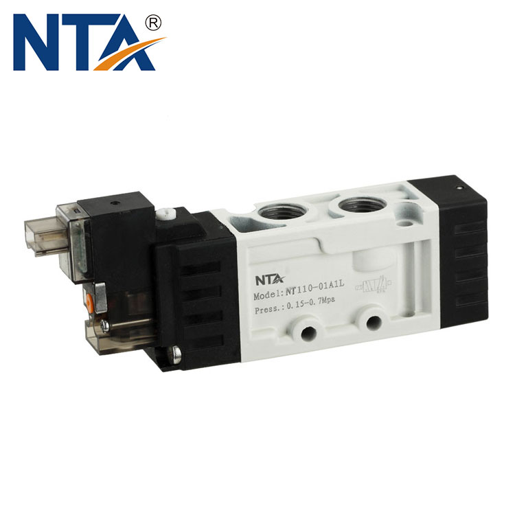 Îlot de valve NT110 1
