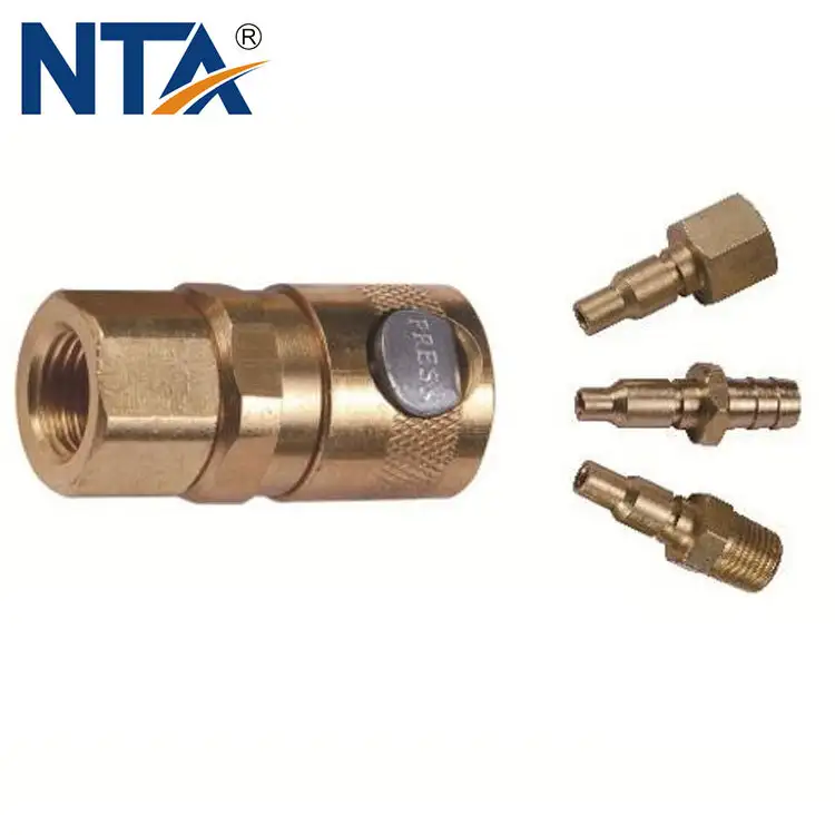 Australian Type Pneumatic Quick Coupler 1
