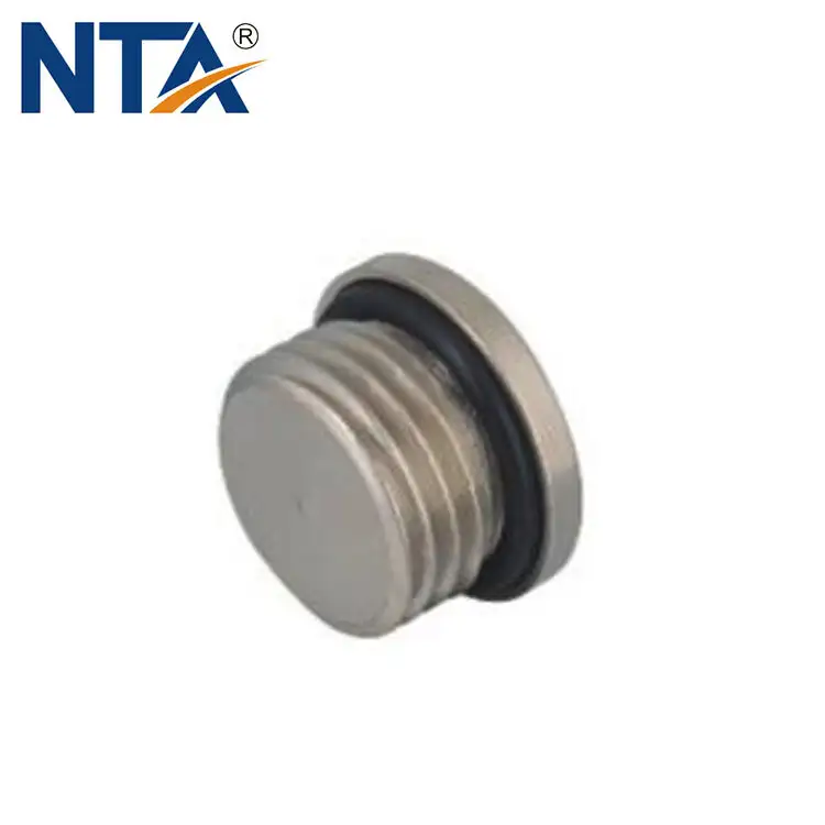 A-GDT Inner Hexgon Brass Plug 1