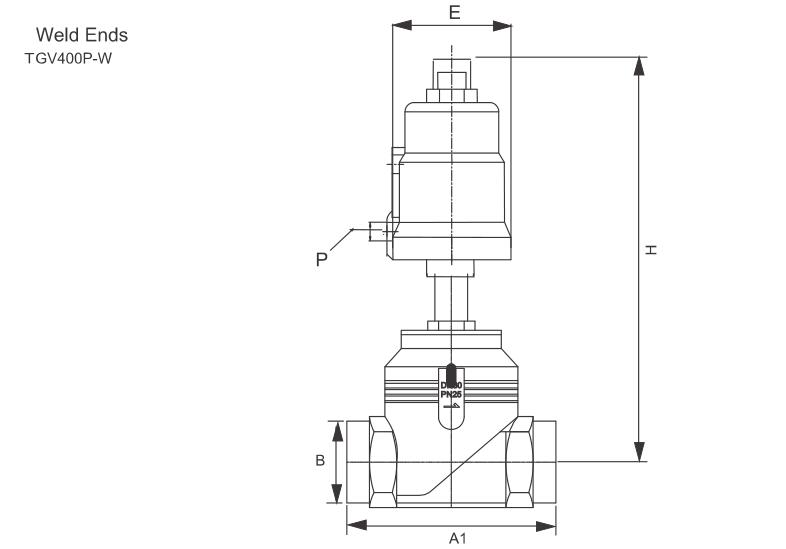 Поршневый клапан контролируемого сиденья управляемого TGV400 (большой порт) 8