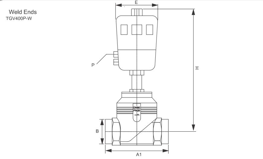 Поршневый клапан контролируемого сиденья управляемого TGV400 (большой порт) 5